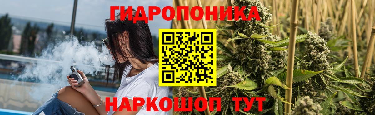 Шишки марихуана план  Бошки Шишки OG Kush  Вход с VPN  Тобольск  Бошки марихуана семена 